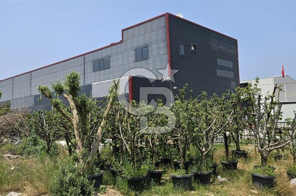 YALOVA TAŞKÖPRÜDE KİRALIK SANAYİ İMARLI HANGAR DEPO!
