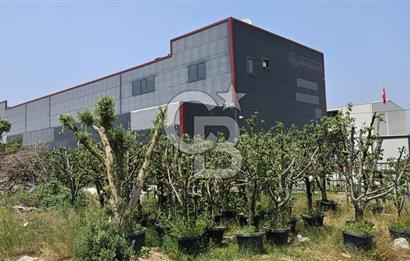 YALOVA TAŞKÖPRÜDE KİRALIK SANAYİ İMARLI HANGAR DEPO!