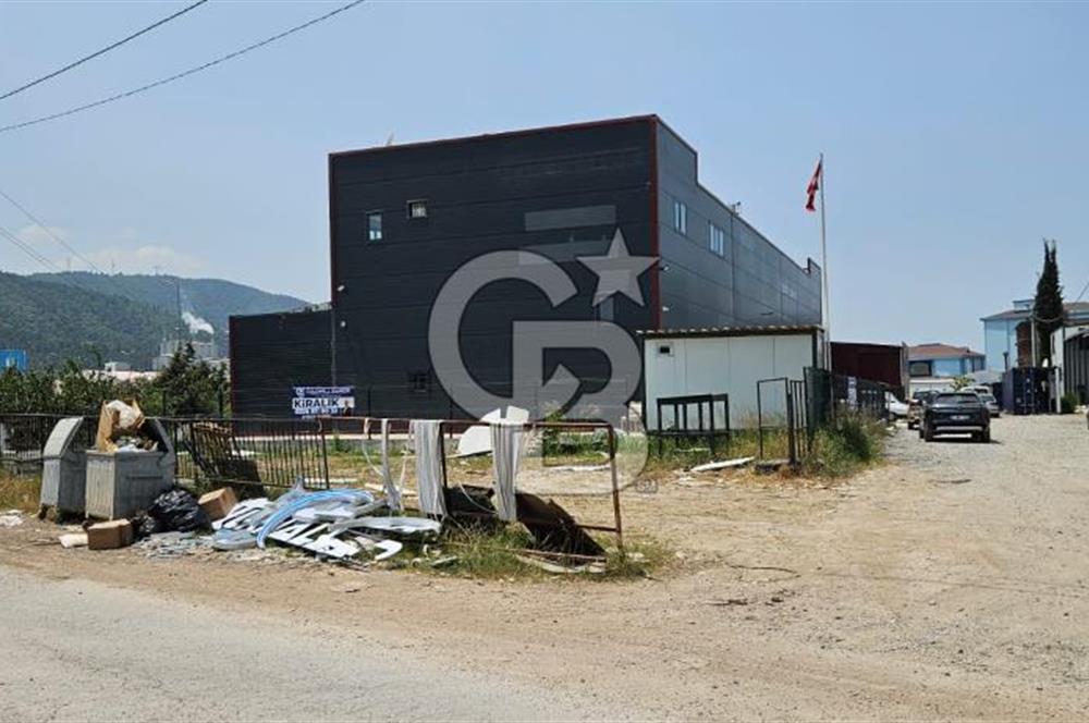 YALOVA TAŞKÖPRÜDE KİRALIK SANAYİ İMARLI HANGAR DEPO!