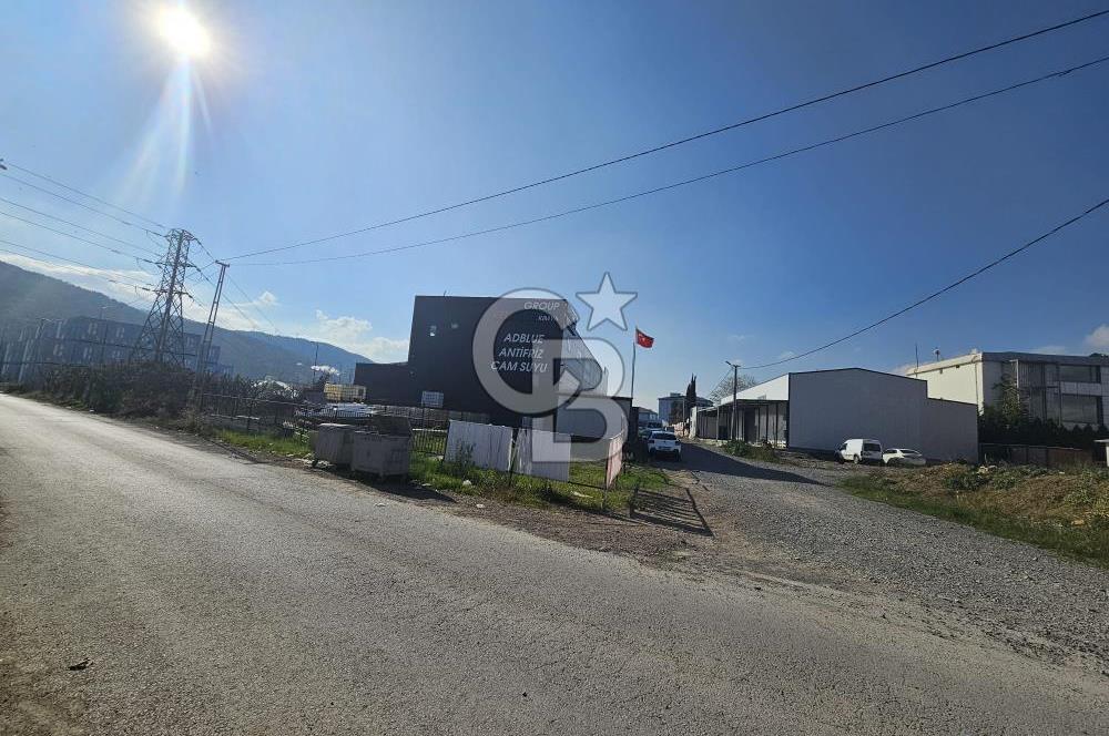 YALOVA TAŞKÖPRÜDE KİRALIK SANAYİ İMARLI HANGAR DEPO!