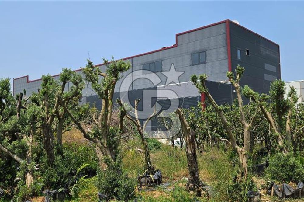 YALOVA TAŞKÖPRÜDE KİRALIK SANAYİ İMARLI HANGAR DEPO!