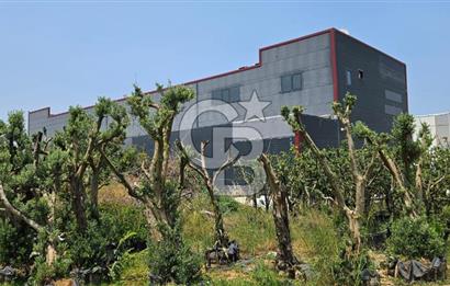 YALOVA TAŞKÖPRÜDE KİRALIK SANAYİ İMARLI HANGAR DEPO!