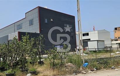 YALOVA TAŞKÖPRÜDE KİRALIK SANAYİ İMARLI HANGAR DEPO!
