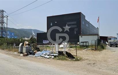 YALOVA TAŞKÖPRÜDE KİRALIK SANAYİ İMARLI HANGAR DEPO!