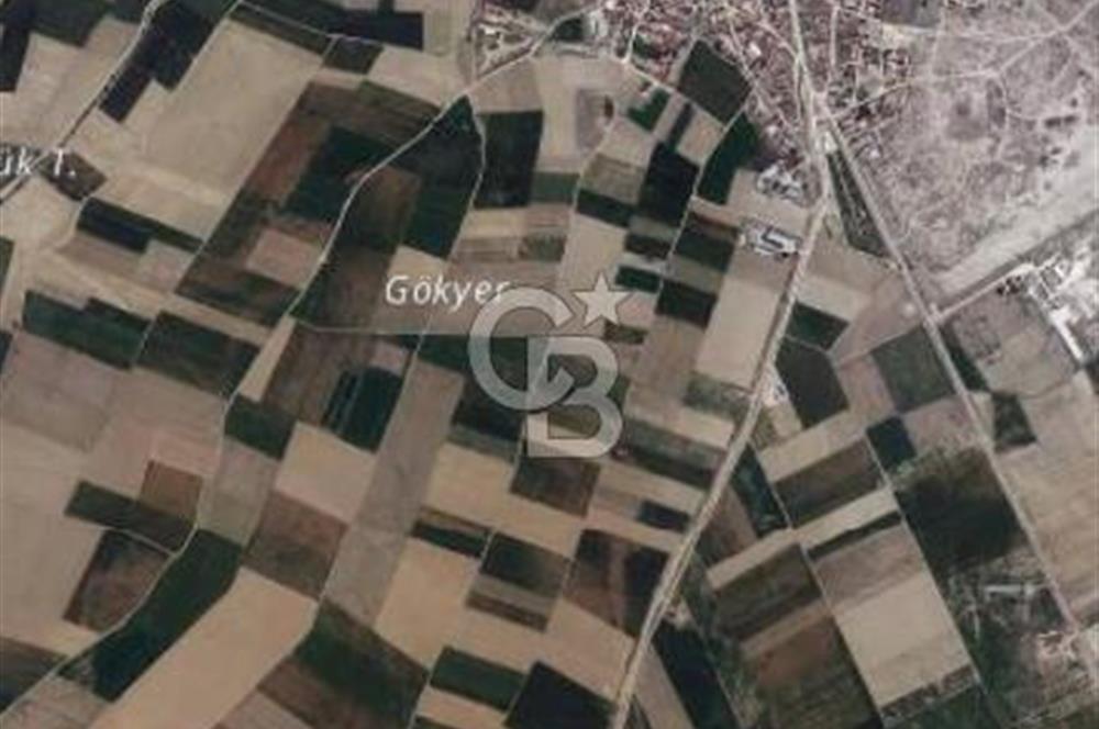 CB CITY'DEN ALPU/BOZAN DA SATILIK 18.011 M² TARLA