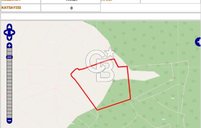 Satılık 4 Dönüm Tarla Orhaniye Mahallesi, Kahramankazan, Ankara