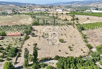 SEFERİHİSAR ULAMIŞ SATILIK 9.715 m² BAĞ BAHÇE