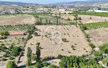 SEFERİHİSAR ULAMIŞ SATILIK 9.715 m² BAĞ BAHÇE