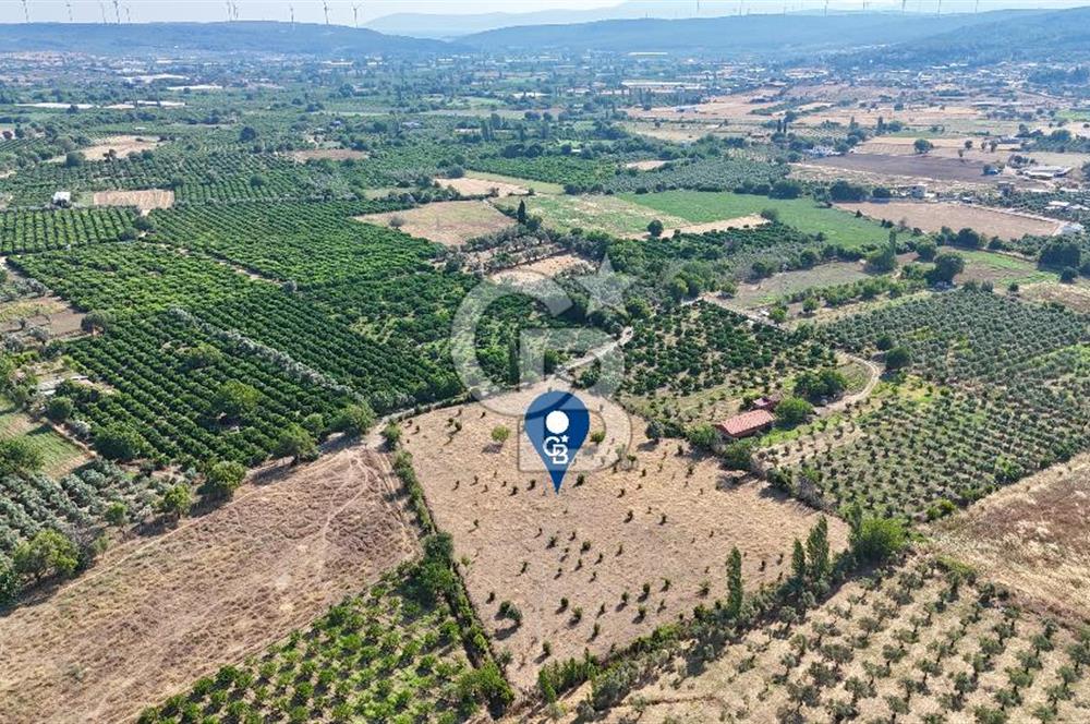 SEFERİHİSAR ULAMIŞ SATILIK 9.715 m² BAĞ BAHÇE