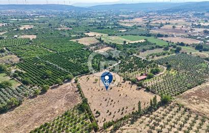SEFERİHİSAR ULAMIŞ SATILIK 9.715 m² BAĞ BAHÇE