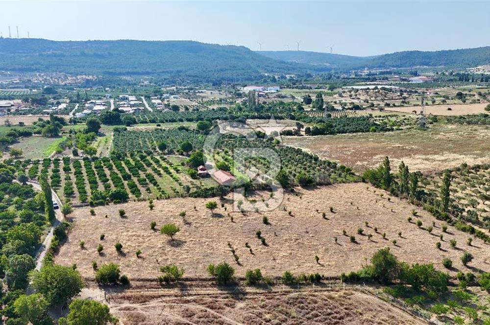 SEFERİHİSAR ULAMIŞ SATILIK 9.715 m² BAĞ BAHÇE