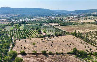 SEFERİHİSAR ULAMIŞ SATILIK 9.715 m² BAĞ BAHÇE