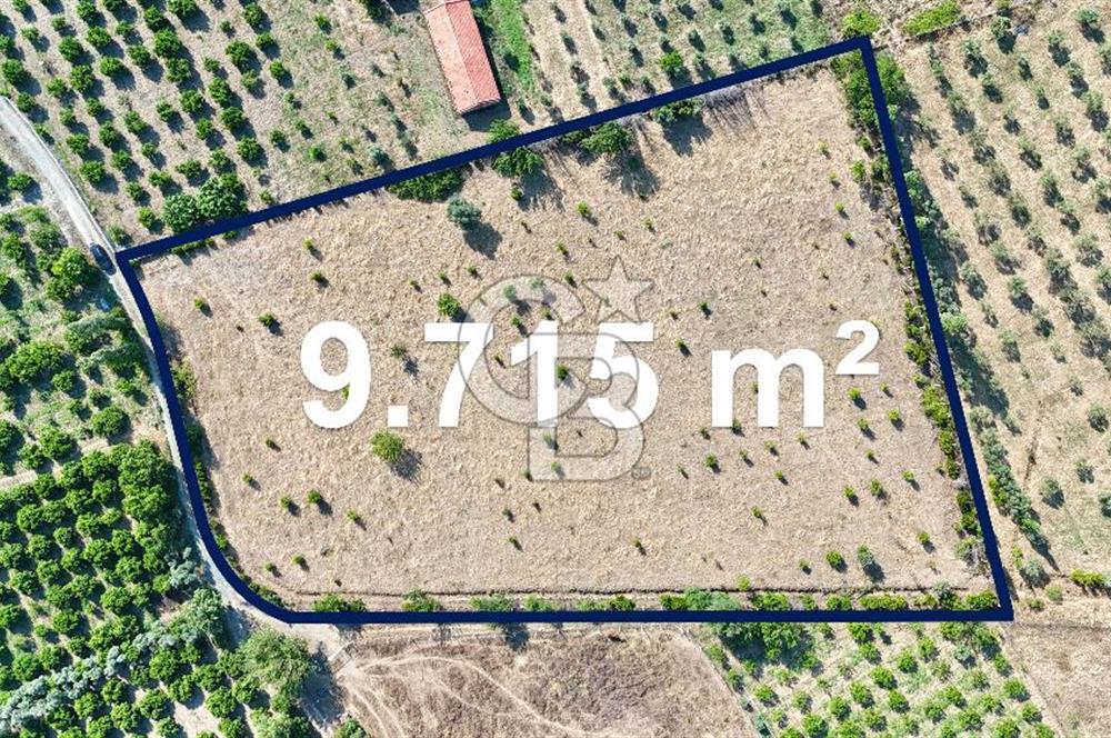 SEFERİHİSAR ULAMIŞ SATILIK 9.715 m² BAĞ BAHÇE