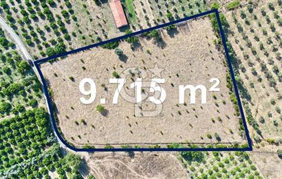 SEFERİHİSAR ULAMIŞ SATILIK 9.715 m² BAĞ BAHÇE