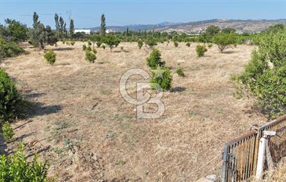 SEFERİHİSAR ULAMIŞ SATILIK 9.715 m² BAĞ BAHÇE