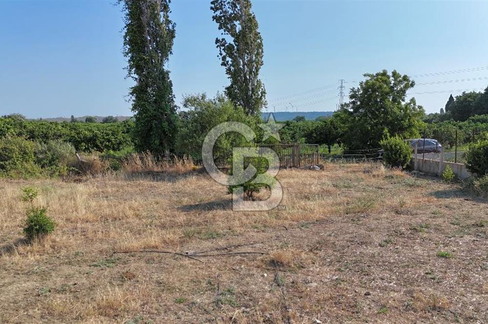 SEFERİHİSAR ULAMIŞ SATILIK 9.715 m² BAĞ BAHÇE