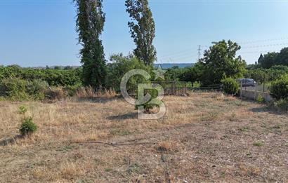 SEFERİHİSAR ULAMIŞ SATILIK 9.715 m² BAĞ BAHÇE