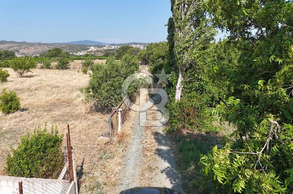 SEFERİHİSAR ULAMIŞ SATILIK 9.715 m² BAĞ BAHÇE