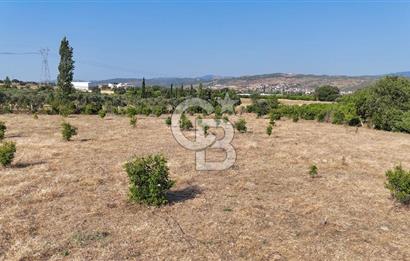 SEFERİHİSAR ULAMIŞ SATILIK 9.715 m² BAĞ BAHÇE