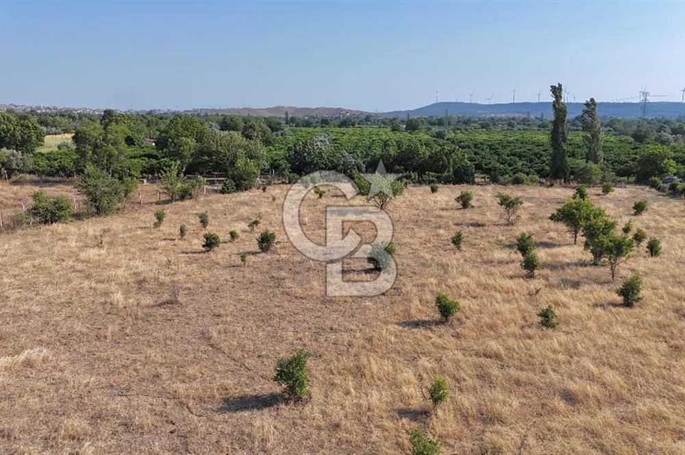 SEFERİHİSAR ULAMIŞ SATILIK 9.715 m² BAĞ BAHÇE