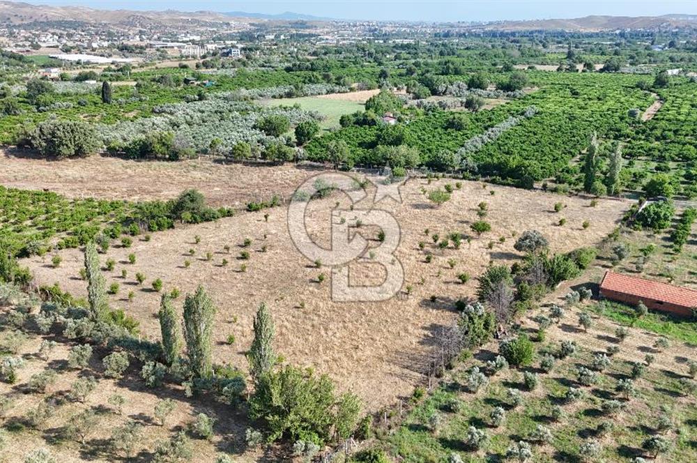 SEFERİHİSAR ULAMIŞ SATILIK 9.715 m² BAĞ BAHÇE