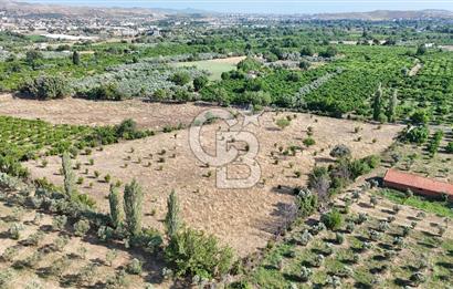 SEFERİHİSAR ULAMIŞ SATILIK 9.715 m² BAĞ BAHÇE