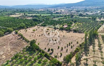 SEFERİHİSAR ULAMIŞ SATILIK 9.715 m² BAĞ BAHÇE