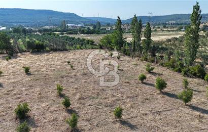 SEFERİHİSAR ULAMIŞ SATILIK 9.715 m² BAĞ BAHÇE