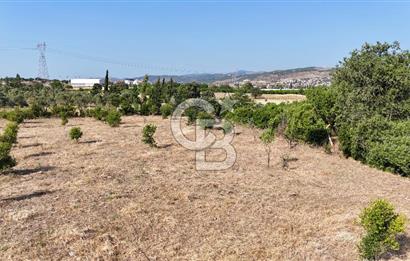 SEFERİHİSAR ULAMIŞ SATILIK 9.715 m² BAĞ BAHÇE