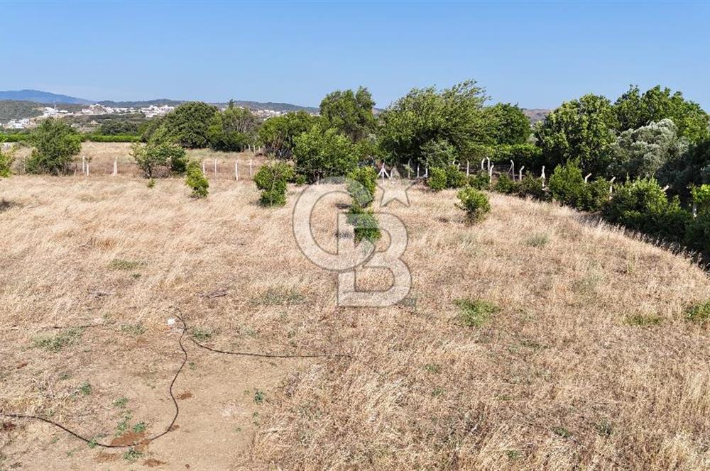 SEFERİHİSAR ULAMIŞ SATILIK 9.715 m² BAĞ BAHÇE