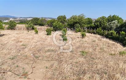 SEFERİHİSAR ULAMIŞ SATILIK 9.715 m² BAĞ BAHÇE