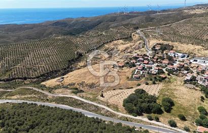 KARABURUN PARLAK MAH. KÖY İÇİ 15.000M2 SATILIK TARLA