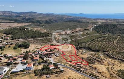 KARABURUN PARLAK MAH. KÖY İÇİ 15.000M2 SATILIK TARLA
