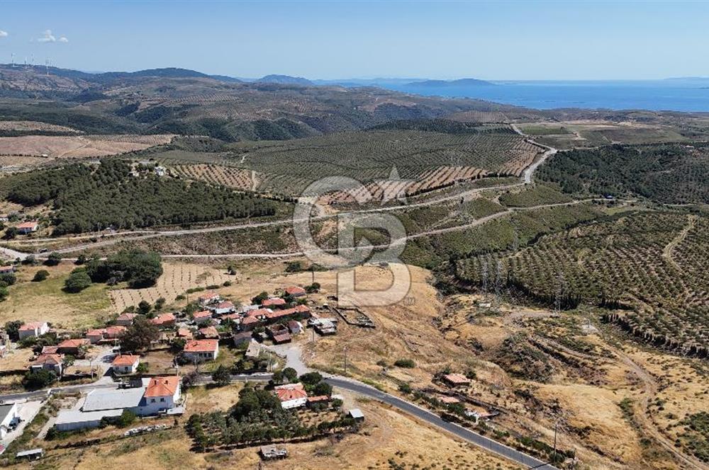 KARABURUN PARLAK MAH. KÖY İÇİ 15.000M2 SATILIK TARLA