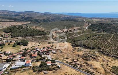 KARABURUN PARLAK MAH. KÖY İÇİ 15.000M2 SATILIK TARLA