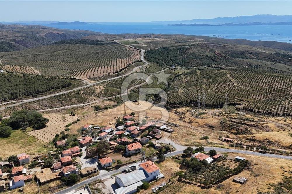 KARABURUN PARLAK MAH. KÖY İÇİ 15.000M2 SATILIK TARLA