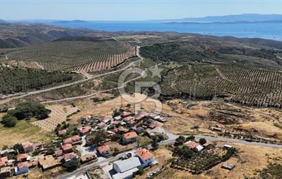 KARABURUN PARLAK MAH. KÖY İÇİ 15.000M2 SATILIK TARLA