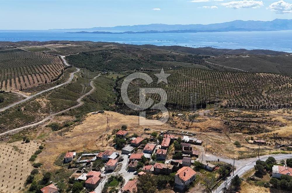 KARABURUN PARLAK MAH. KÖY İÇİ 15.000M2 SATILIK TARLA