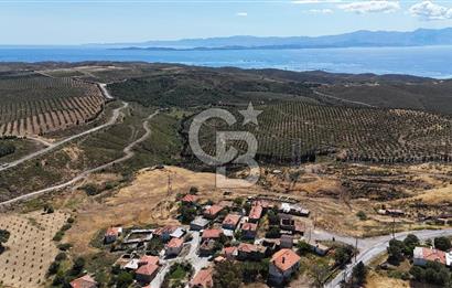 KARABURUN PARLAK MAH. KÖY İÇİ 15.000M2 SATILIK TARLA