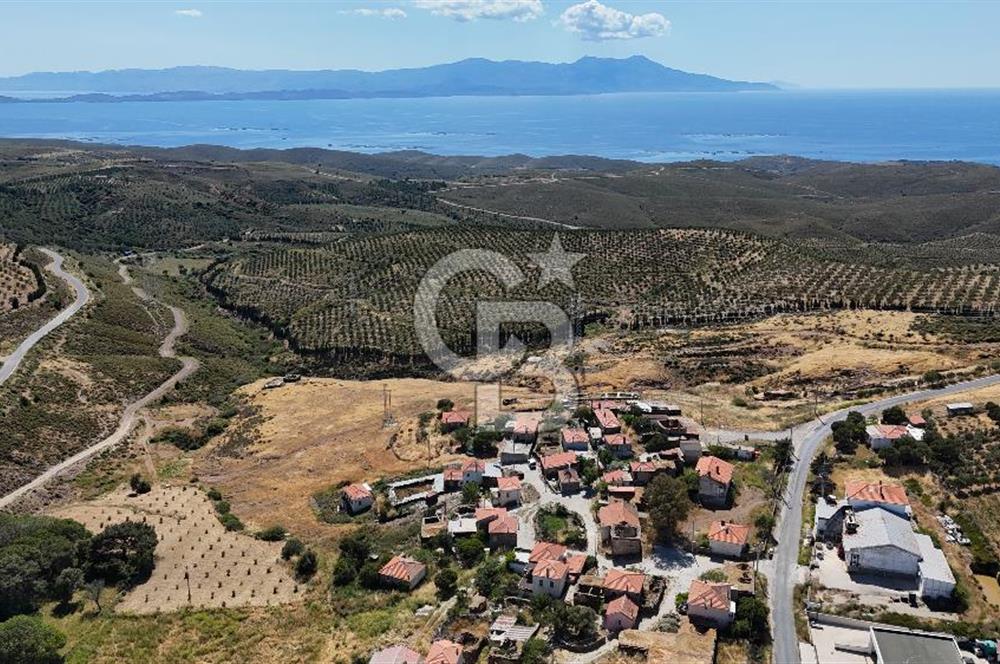 KARABURUN PARLAK MAH. KÖY İÇİ 15.000M2 SATILIK TARLA
