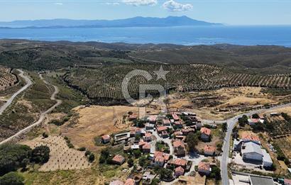 KARABURUN PARLAK MAH. KÖY İÇİ 15.000M2 SATILIK TARLA