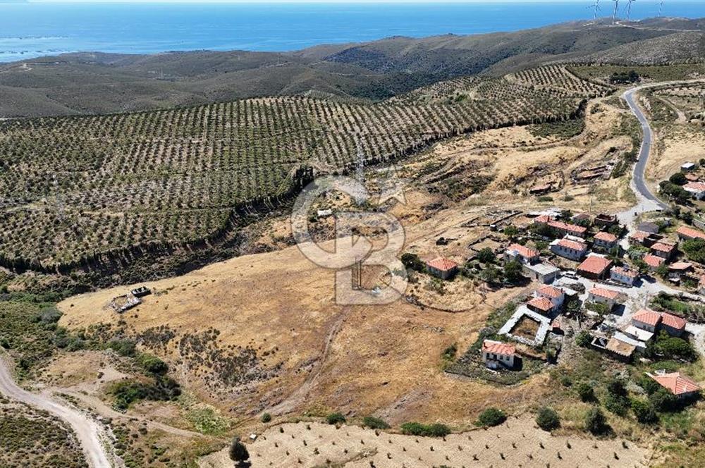 KARABURUN PARLAK MAH. KÖY İÇİ 15.000M2 SATILIK TARLA