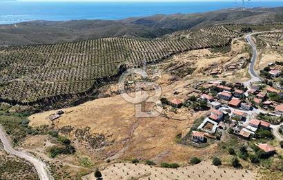 KARABURUN PARLAK MAH. KÖY İÇİ 15.000M2 SATILIK TARLA