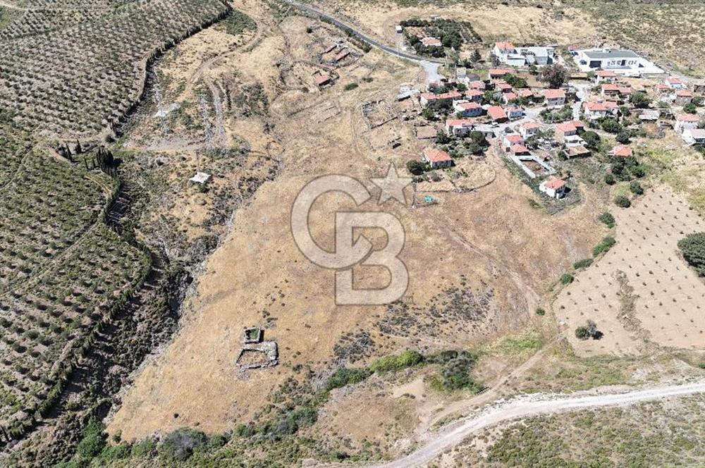 KARABURUN PARLAK MAH. KÖY İÇİ 15.000M2 SATILIK TARLA