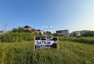 ANAYOLA CEPHE SATILIK 3 KATA İMARLI ARSA