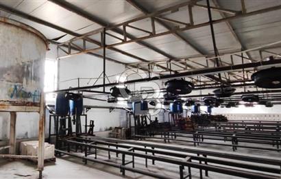 ESKİŞEHİR - BURSA YOLU ÜZERİNDE SATILIK FABRİKA 11.500 M2 KAPALI ALAN