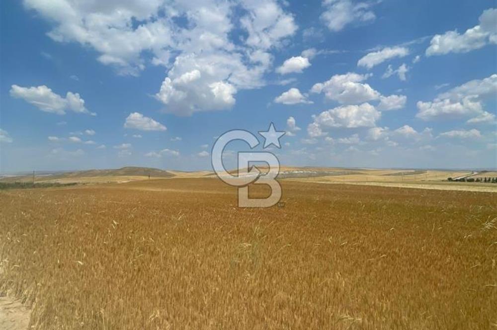 TEMELLİ BACI'DA ESKİŞEHİRYOLUNA YAKIN ASFALT VE KADASTRO YOLUNDA