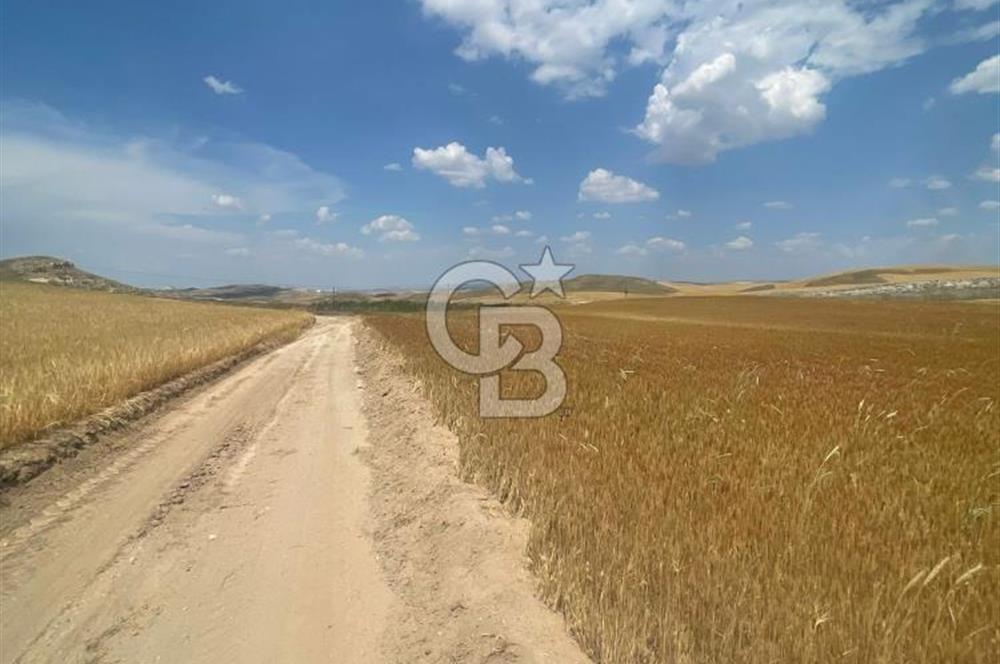 TEMELLİ BACI'DA ESKİŞEHİRYOLUNA YAKIN ASFALT VE KADASTRO YOLUNDA