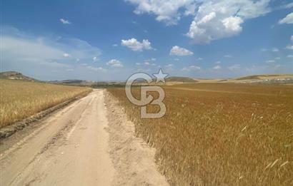 TEMELLİ BACI'DA ESKİŞEHİRYOLUNA YAKIN ASFALT VE KADASTRO YOLUNDA