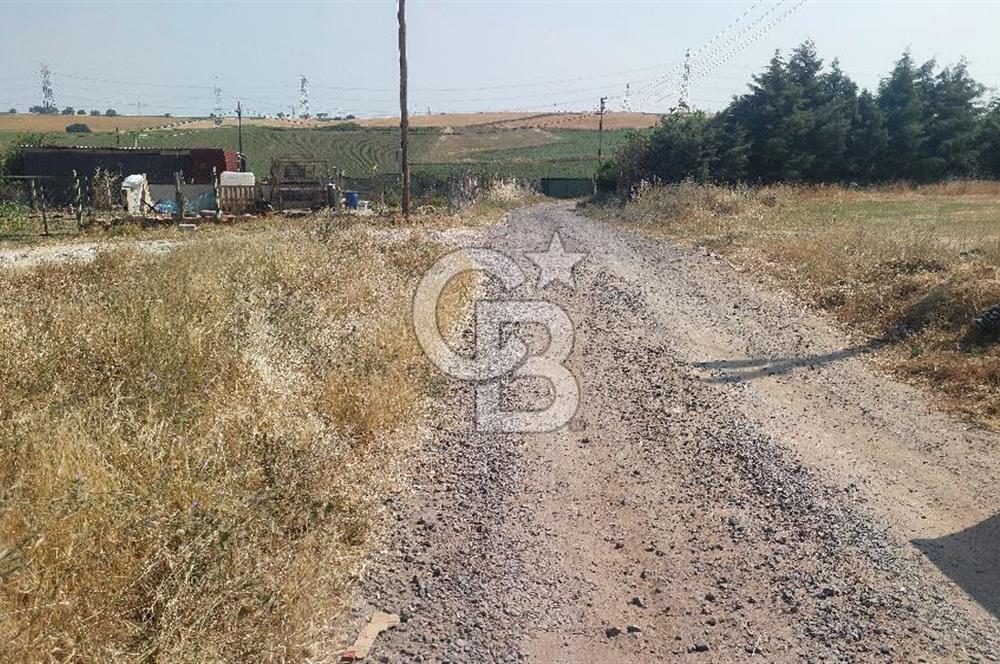 Tekirdağ Çorlu Şahpaz Mah. Satılık 1800 M2 Arsa